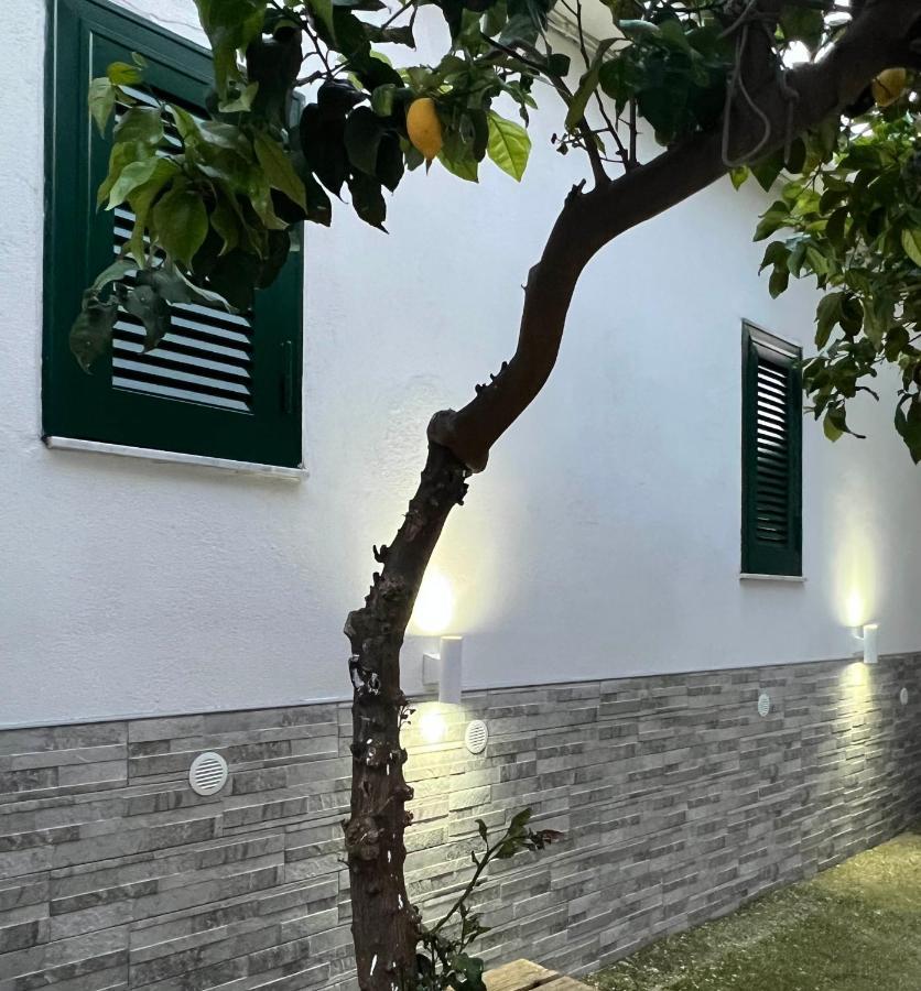 B&B Casa Vacanze Nonna Clara 那不勒斯 外观 照片